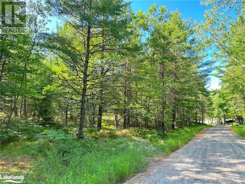 0 Tom Coopers Road, Carling, Ontario  L8R 1X2 - Photo 2 - 40452028