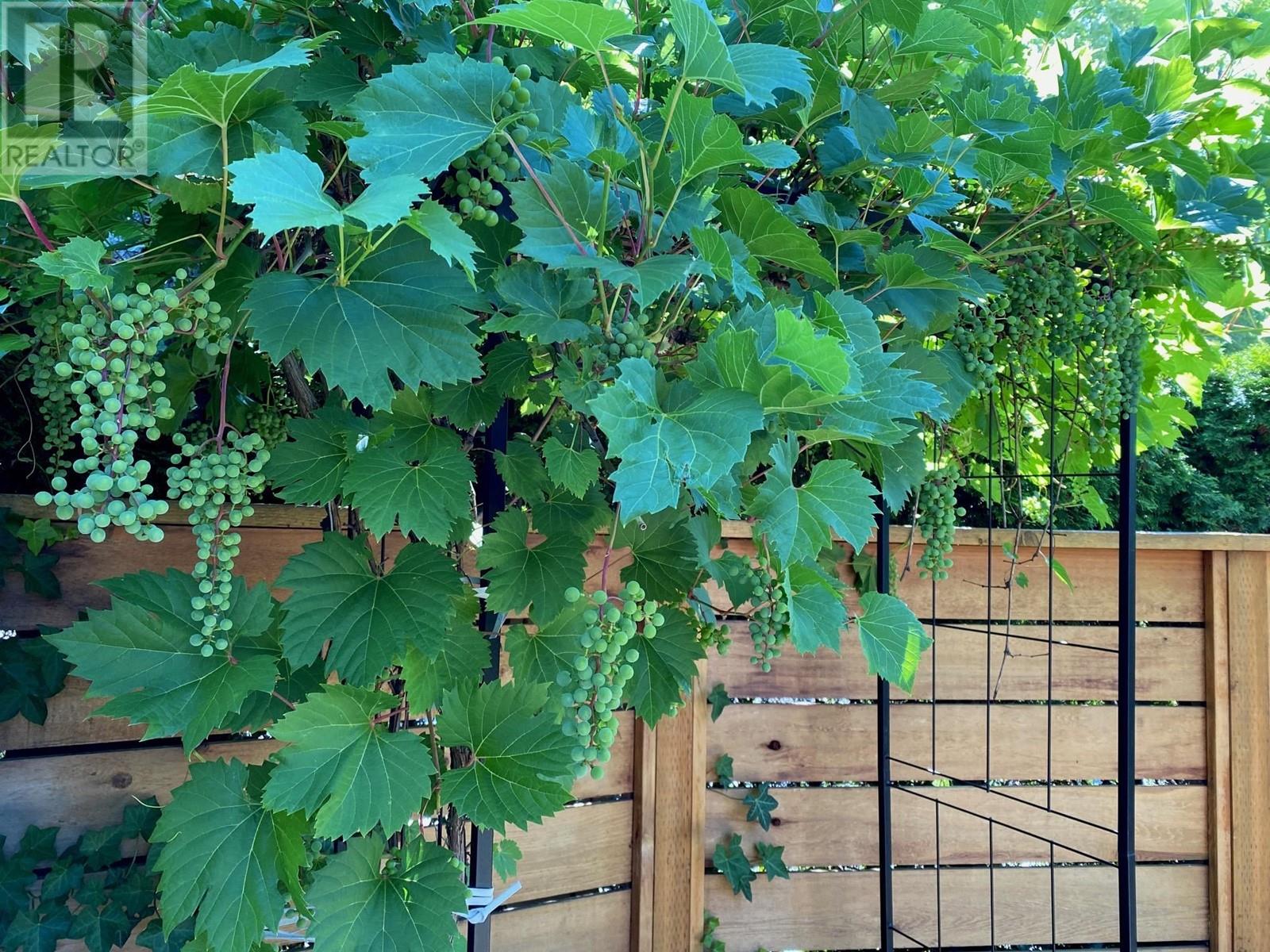 36 7611 Moffatt Road, Richmond, British Columbia  V6Y 1X9 - Photo 30 - R2799703