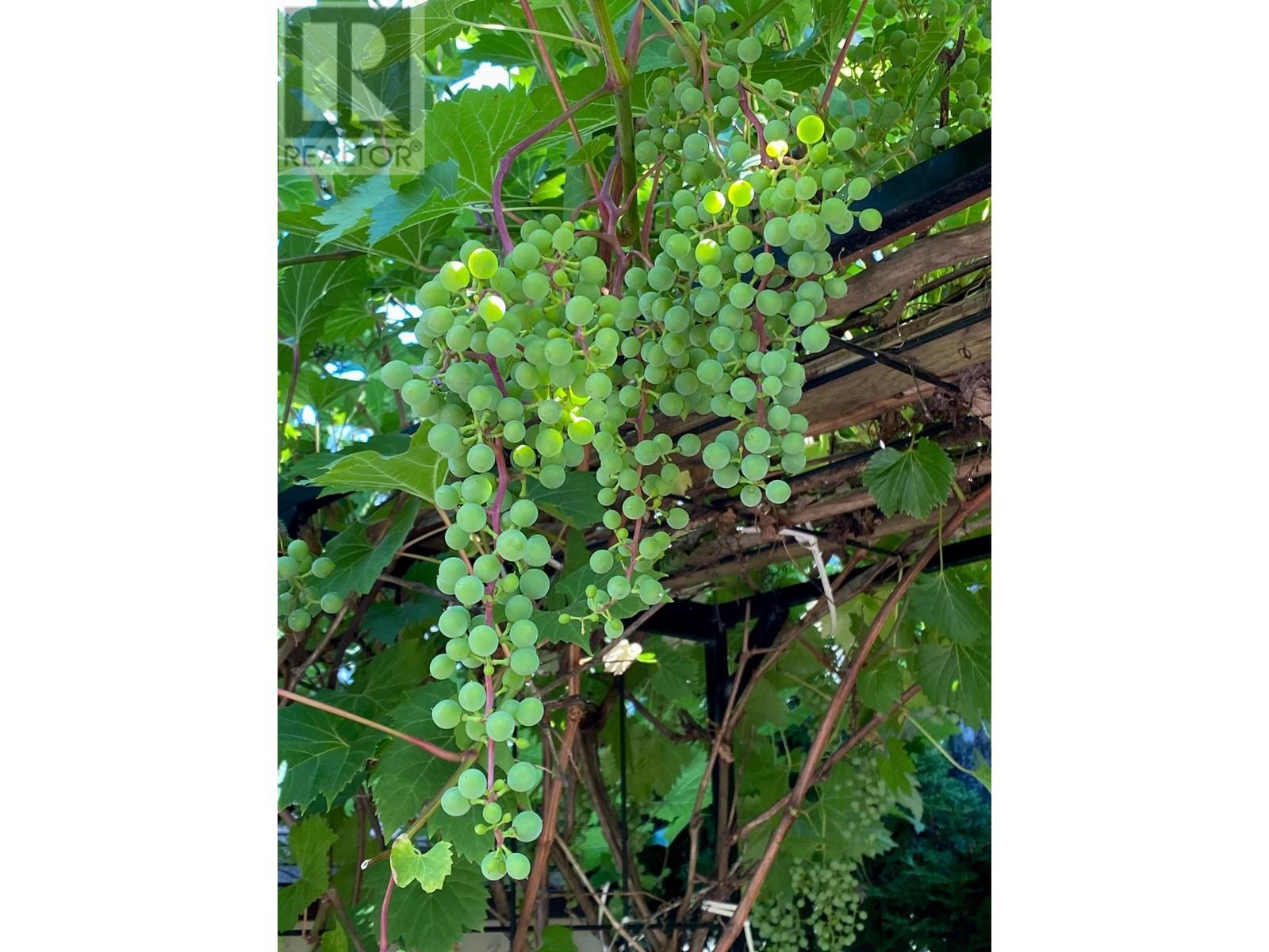 36 7611 Moffatt Road, Richmond, British Columbia  V6Y 1X9 - Photo 31 - R2799703