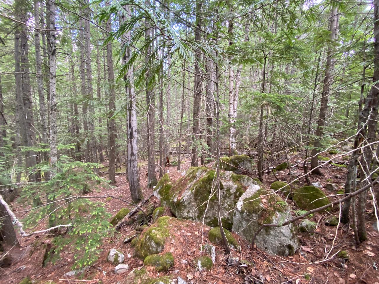 Lot 7 Highway 6, Slocan, British Columbia  V0G 2C0 - Photo 19 - 2472283