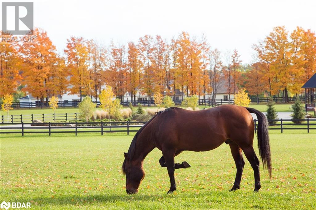 Lt 225 Friesian Court, Oro-Medonte, Ontario  L0K 1E0 - Photo 17 - 40442031