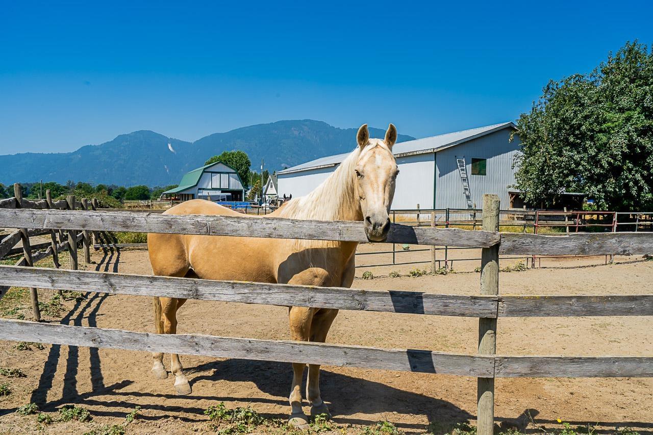 42050 Keith Wilson Road, Chilliwack, British Columbia  V2R 4B2 - Photo 27 - R2798991