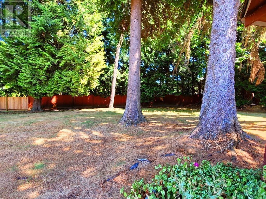 7628 Burris Street, Burnaby, British Columbia  V5E 1Z3 - Photo 34 - R2800584