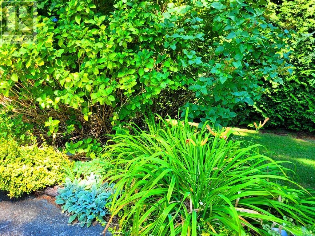 7628 Burris Street, Burnaby, British Columbia  V5E 1Z3 - Photo 38 - R2800584