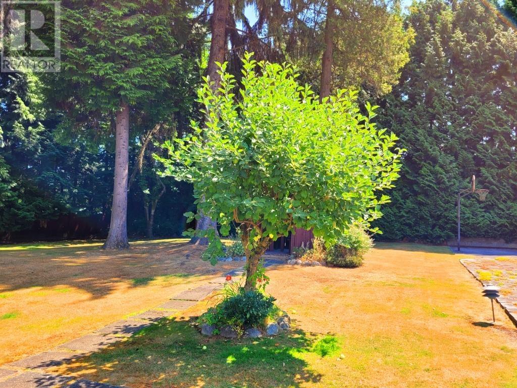 7628 Burris Street, Burnaby, British Columbia  V5E 1Z3 - Photo 31 - R2800584