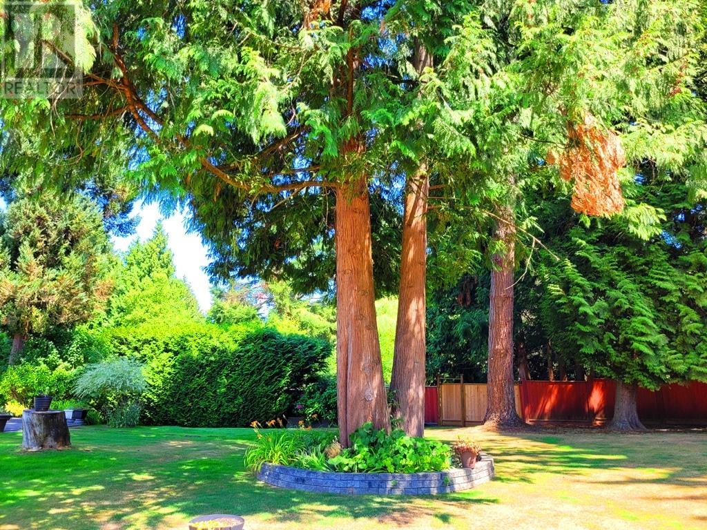 7628 Burris Street, Burnaby, British Columbia  V5E 1Z3 - Photo 29 - R2800584