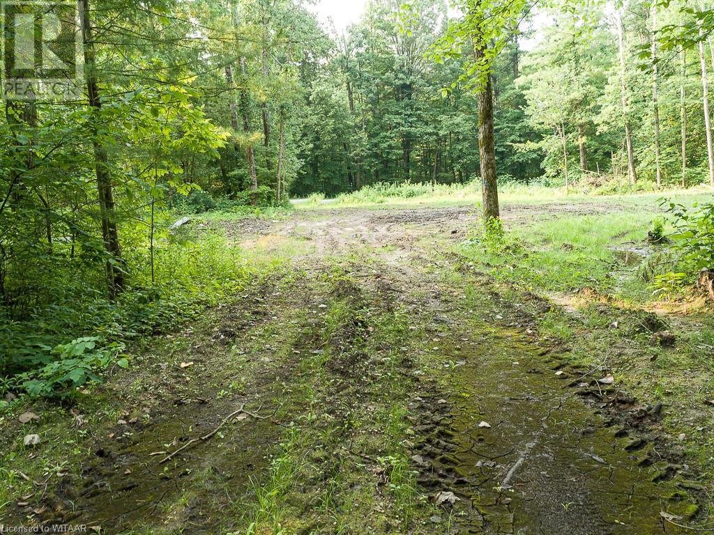 Pt Lt 21 Charlotteville 7 Road, Norfolk County, Ontario N3Y 4X5 - Photo 10 - 40458136