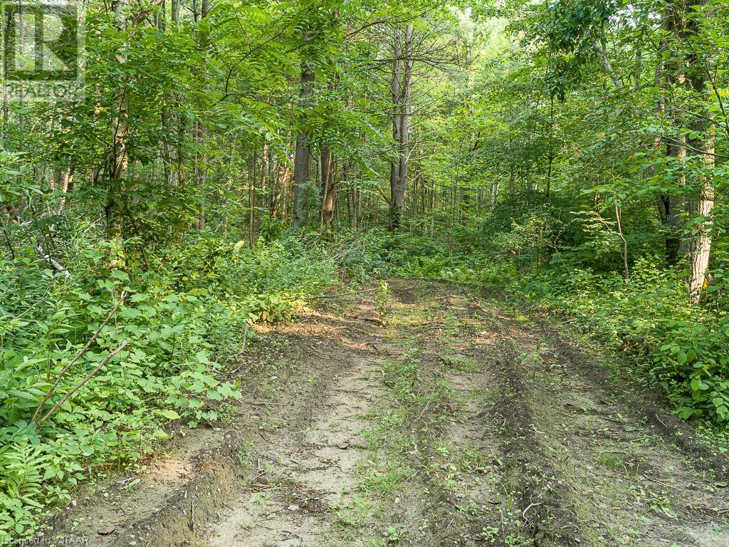 Pt Lt 21 Charlotteville 7 Road, Norfolk County, Ontario  N3Y 4X5 - Photo 11 - 40458136