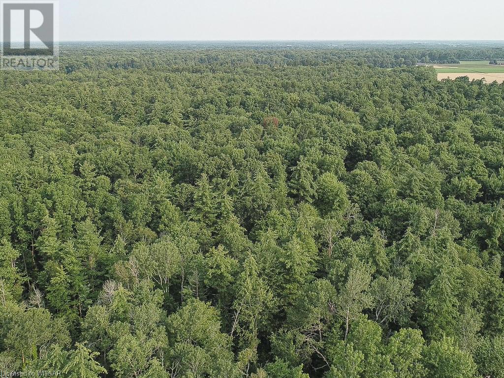 Pt Lt 21 Charlotteville 7 Road, Norfolk County, Ontario  N3Y 4X5 - Photo 20 - 40458136