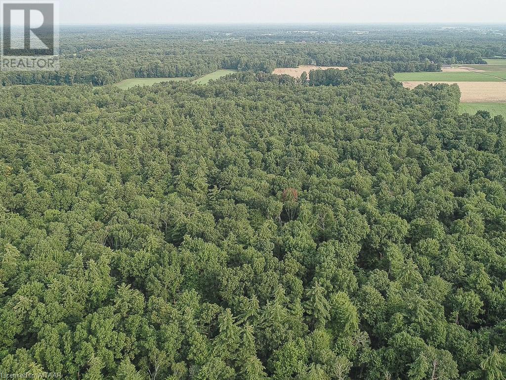 Pt Lt 21 Charlotteville 7 Road, Norfolk County, Ontario N3Y 4X5 - Photo 22 - 40458136