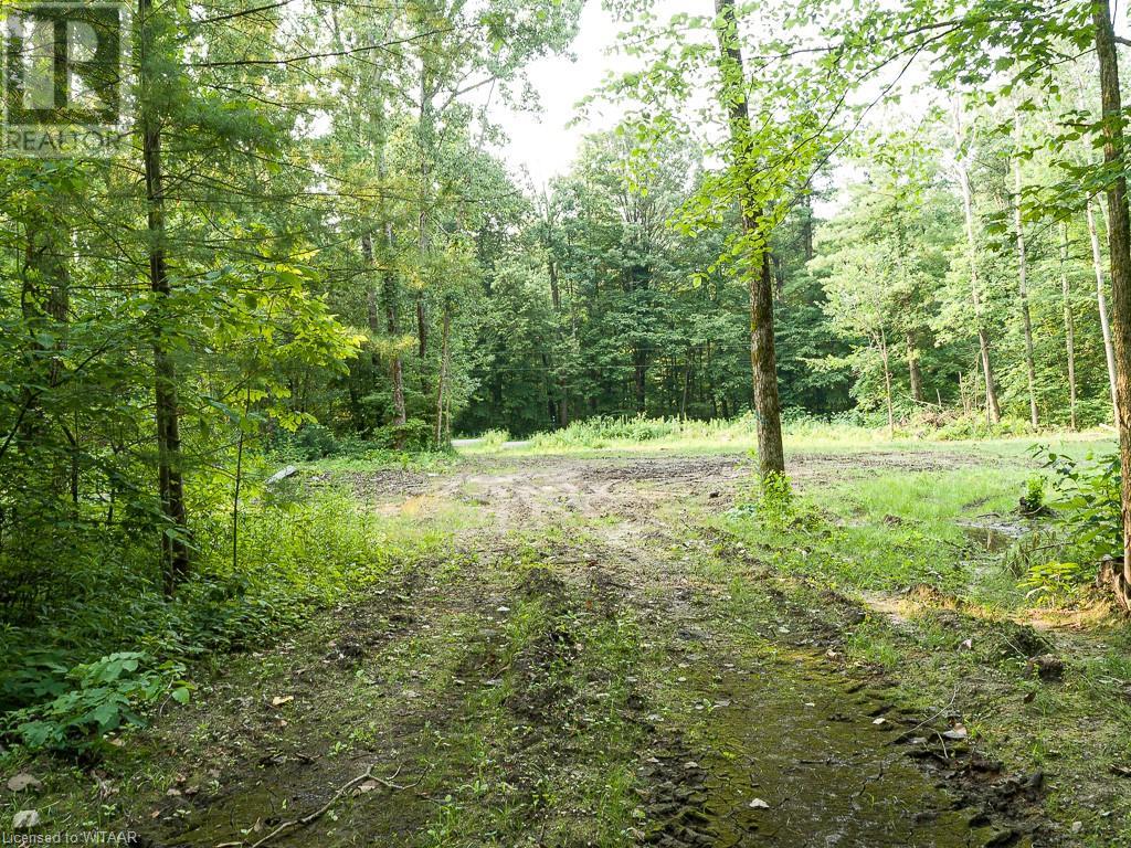 Pt Lt 21 Charlotteville 7 Road, Norfolk County, Ontario  N3Y 4X5 - Photo 7 - 40458136