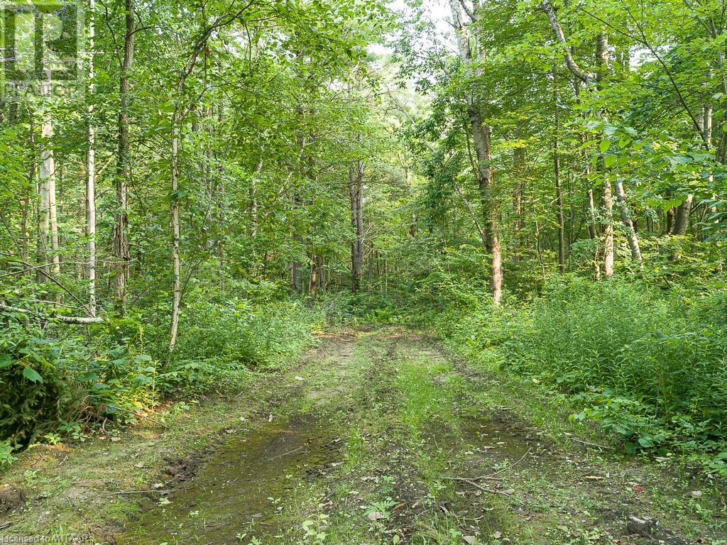 Pt Lt 21 Charlotteville 7 Road, Norfolk County, Ontario  N3Y 4X5 - Photo 9 - 40458136