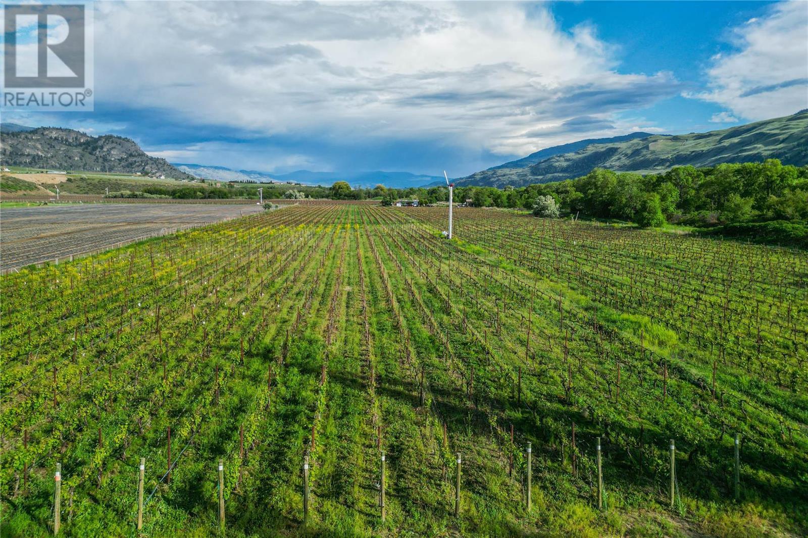 4363 Ryegrass Road, Oliver, British Columbia  V0H 1T0 - Photo 17 - 10280558