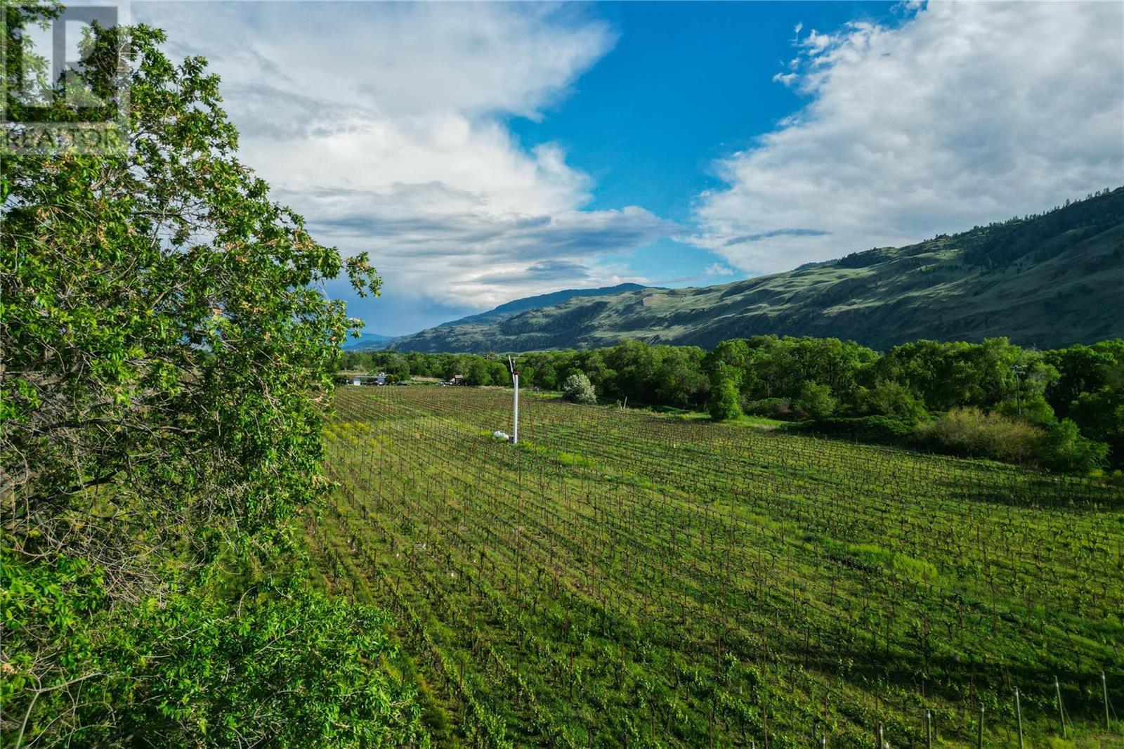 4363 Ryegrass Road, Oliver, British Columbia  V0H 1T0 - Photo 15 - 10280558