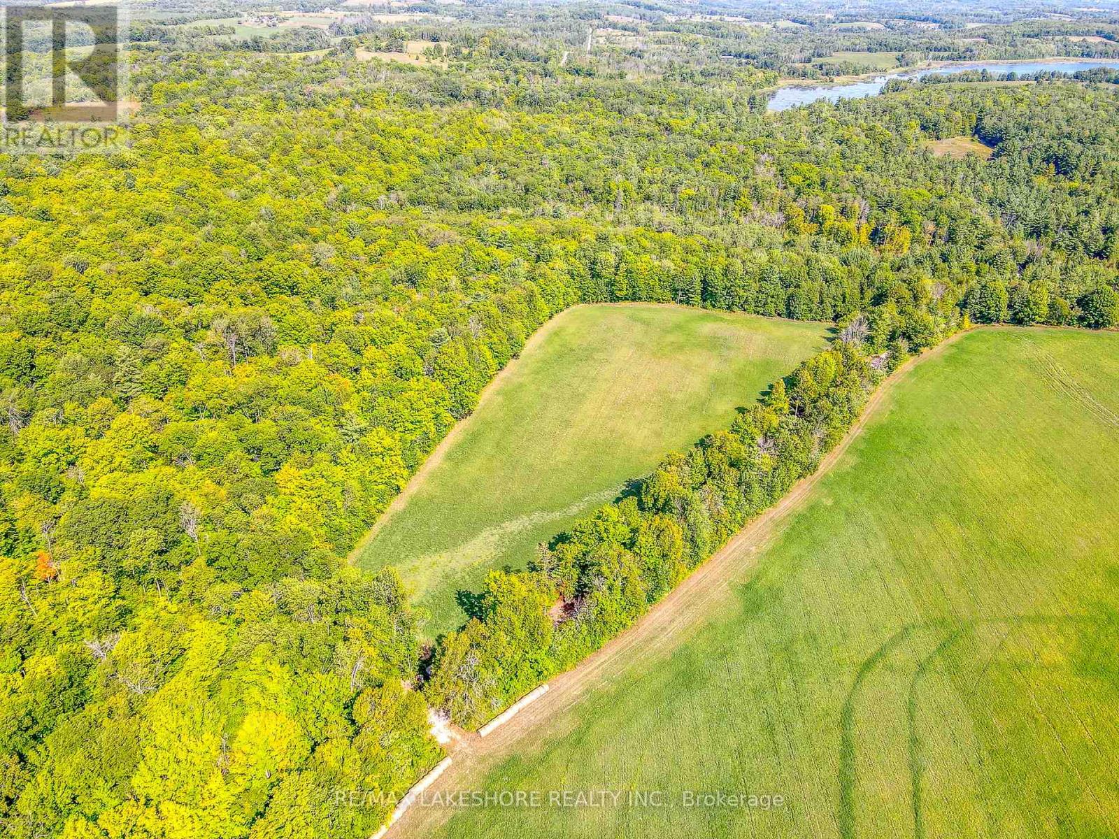 90 Richardson Road, Trent Hills, Ontario  K0K 1X0 - Photo 5 - X6622124