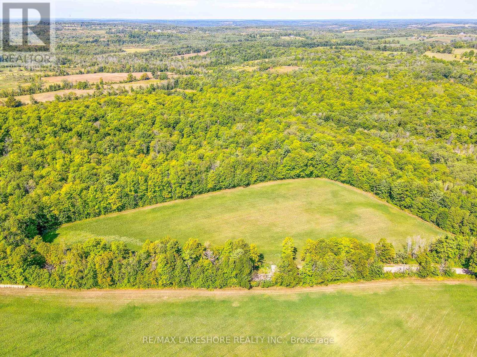 90 Richardson Road, Trent Hills, Ontario  K0K 1X0 - Photo 6 - X6622124