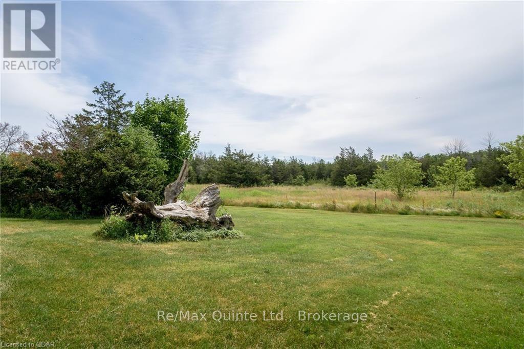 595 ELMBROOK ROAD Prince Edward County