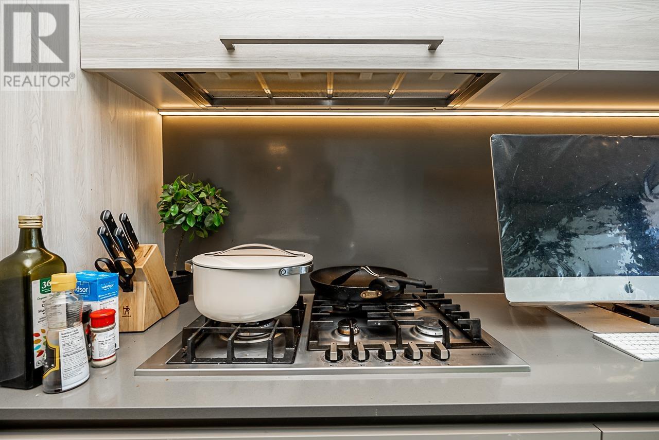 302 4488 Juneau Street, Burnaby, British Columbia  V5C 0M4 - Photo 11 - R2801905