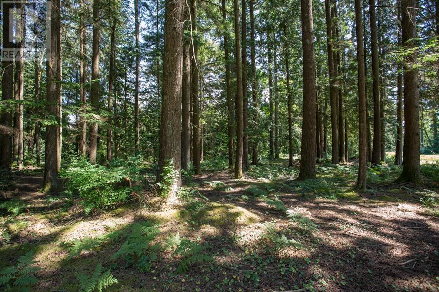 27964 110 Avenue, Maple Ridge, British Columbia  V2W 1P6 - Photo 24 - R2793509
