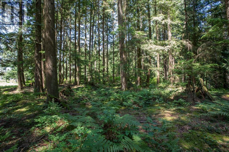 27964 110 Avenue, Maple Ridge, British Columbia  V2W 1P6 - Photo 31 - R2793509