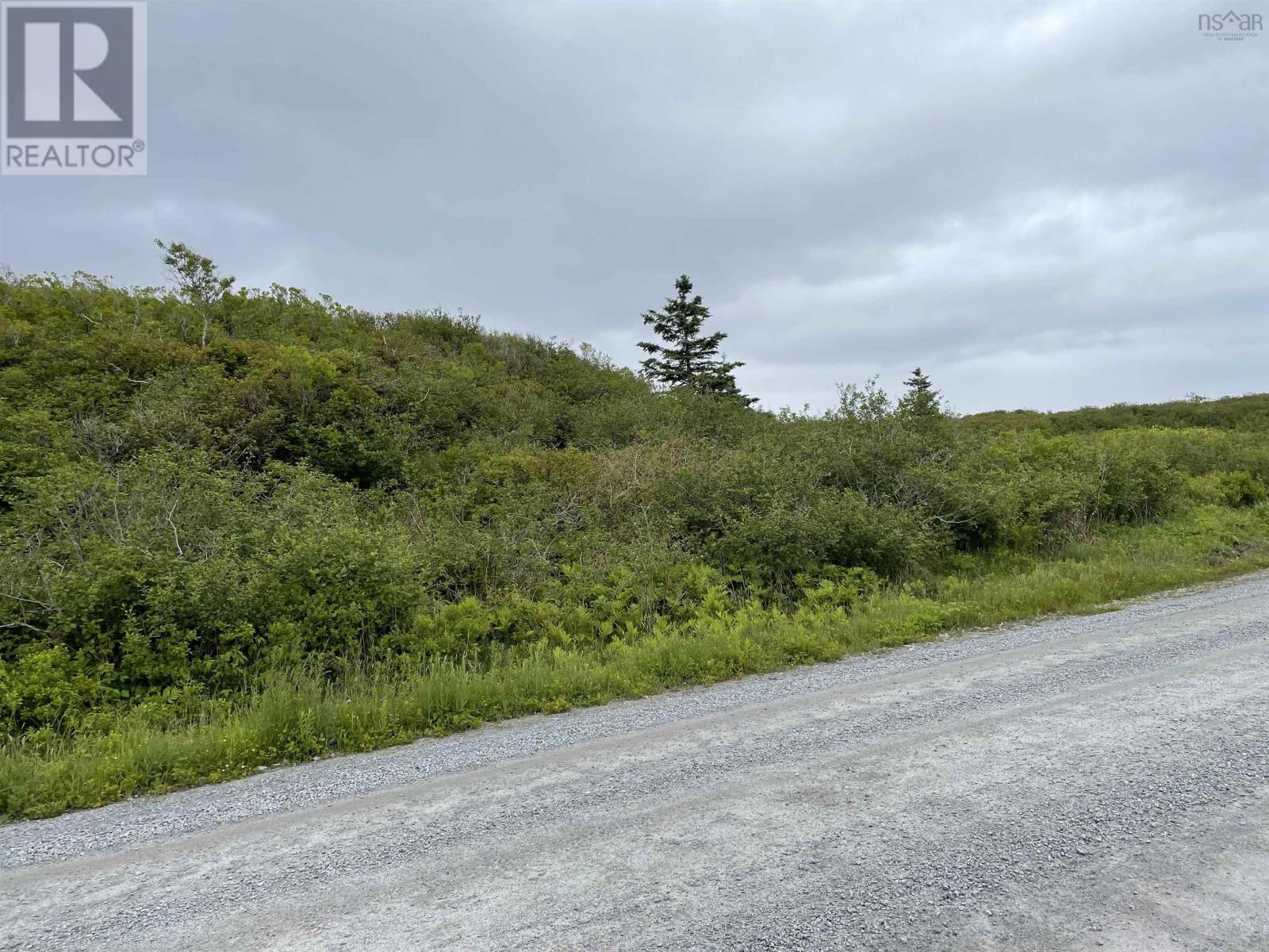 Lot West Head Road, Western Head, Nova Scotia  B0T 1M0 - Photo 19 - 202312401