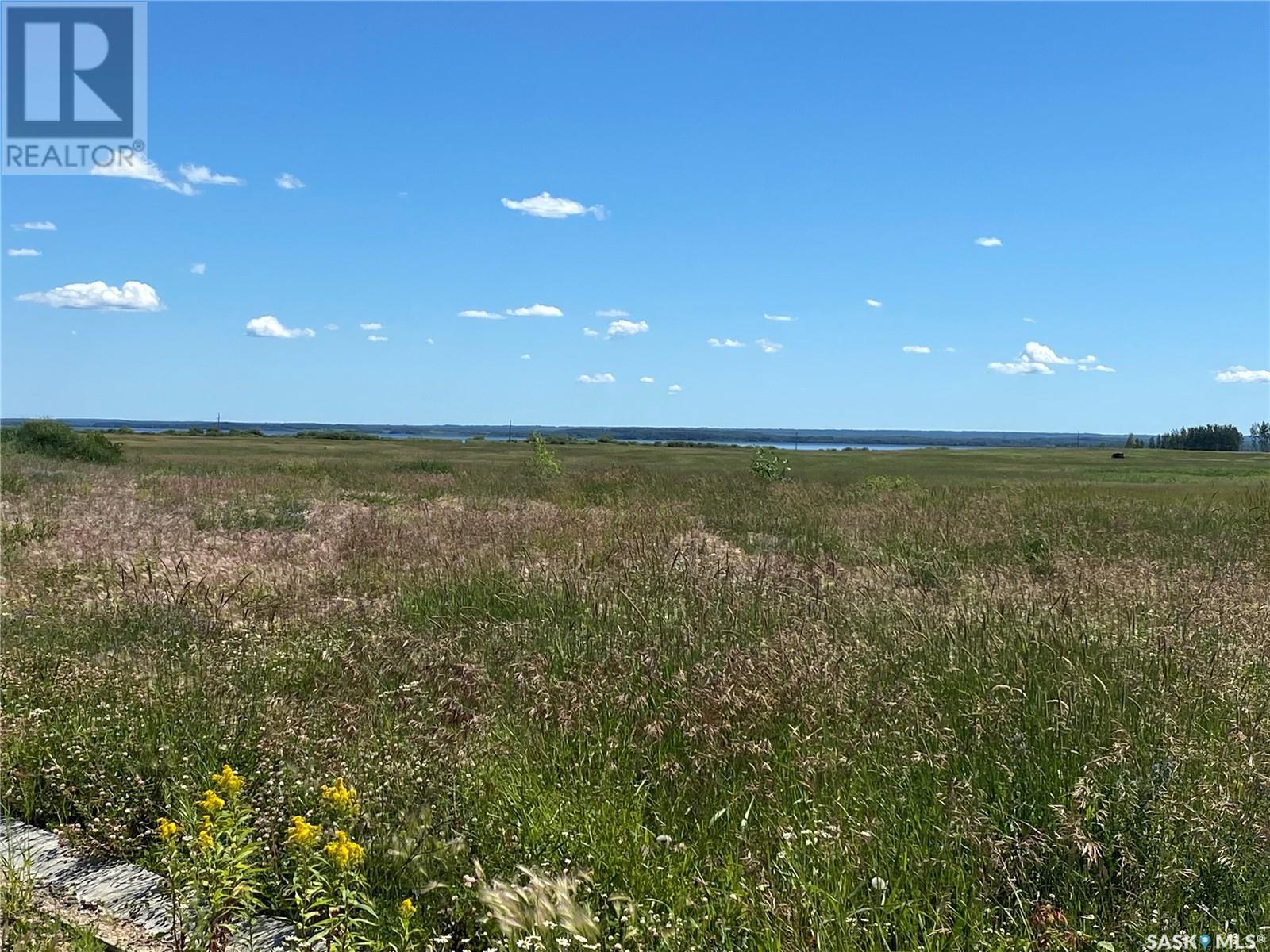 3-18 Yaychuk Place, Meadow Lake, Saskatchewan  S9X 0A5 - Photo 8 - SK939001