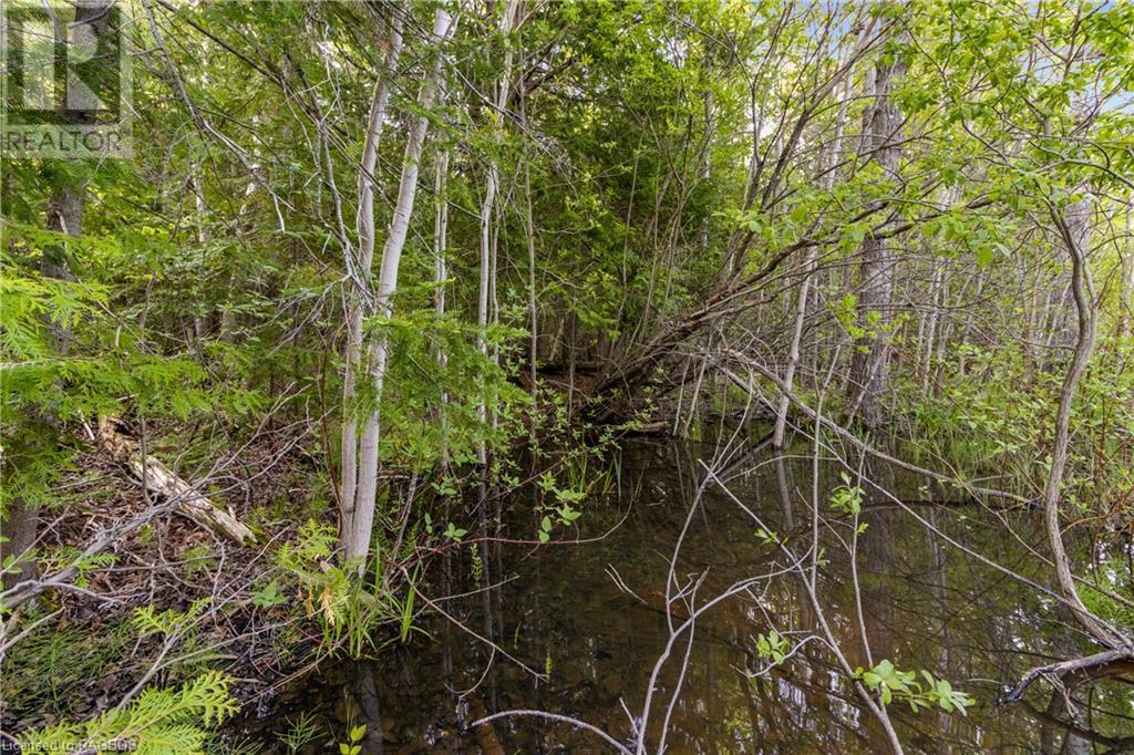 Pt Farm Lt 4 Chi Sin Tib Dek Road, Northern Bruce Peninsula, Ontario  N0H 2R0 - Photo 11 - 40460364