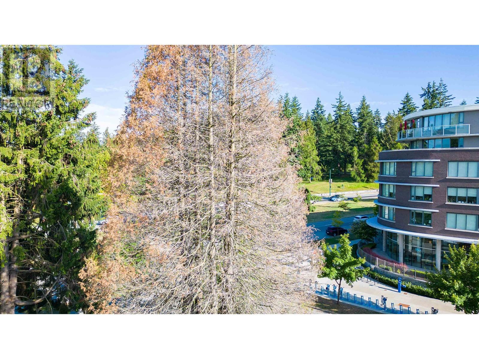 4491 Cambie Street, Vancouver, British Columbia  V5Z 2Y8 - Photo 19 - R2795517
