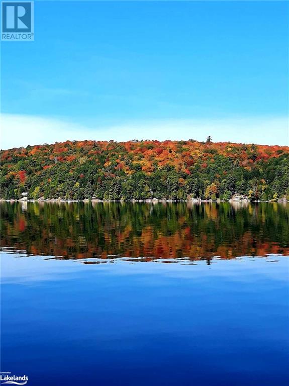 14208 Long Island, Algonquin Highlands, Ontario  P0A 1E0 - Photo 21 - 40463050