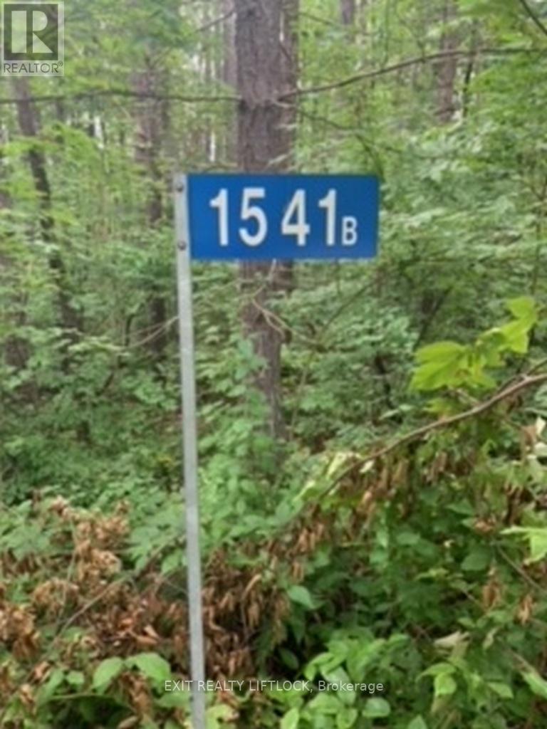 1541 Blue Heron Ridge, Central Frontenac, Ontario  K0H 1B0 - Photo 3 - X6718300