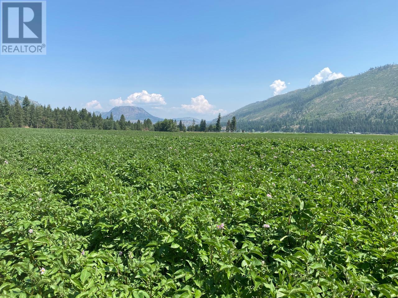 2 Mclure Ferry Road, Mclure/vinsula, British Columbia  V0E 2H0 - Photo 13 - 174283