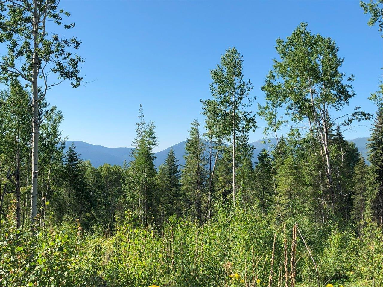 1827S MORRISSEY CREEK RD, grand forks, British Columbia