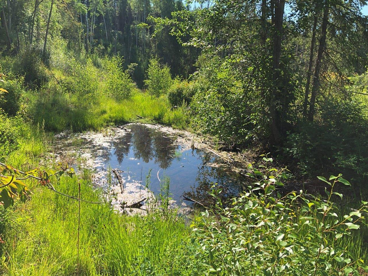 1827s Morrissey Creek Rd, Grand Forks, British Columbia  V0H 1H2 - Photo 5 - 2472583