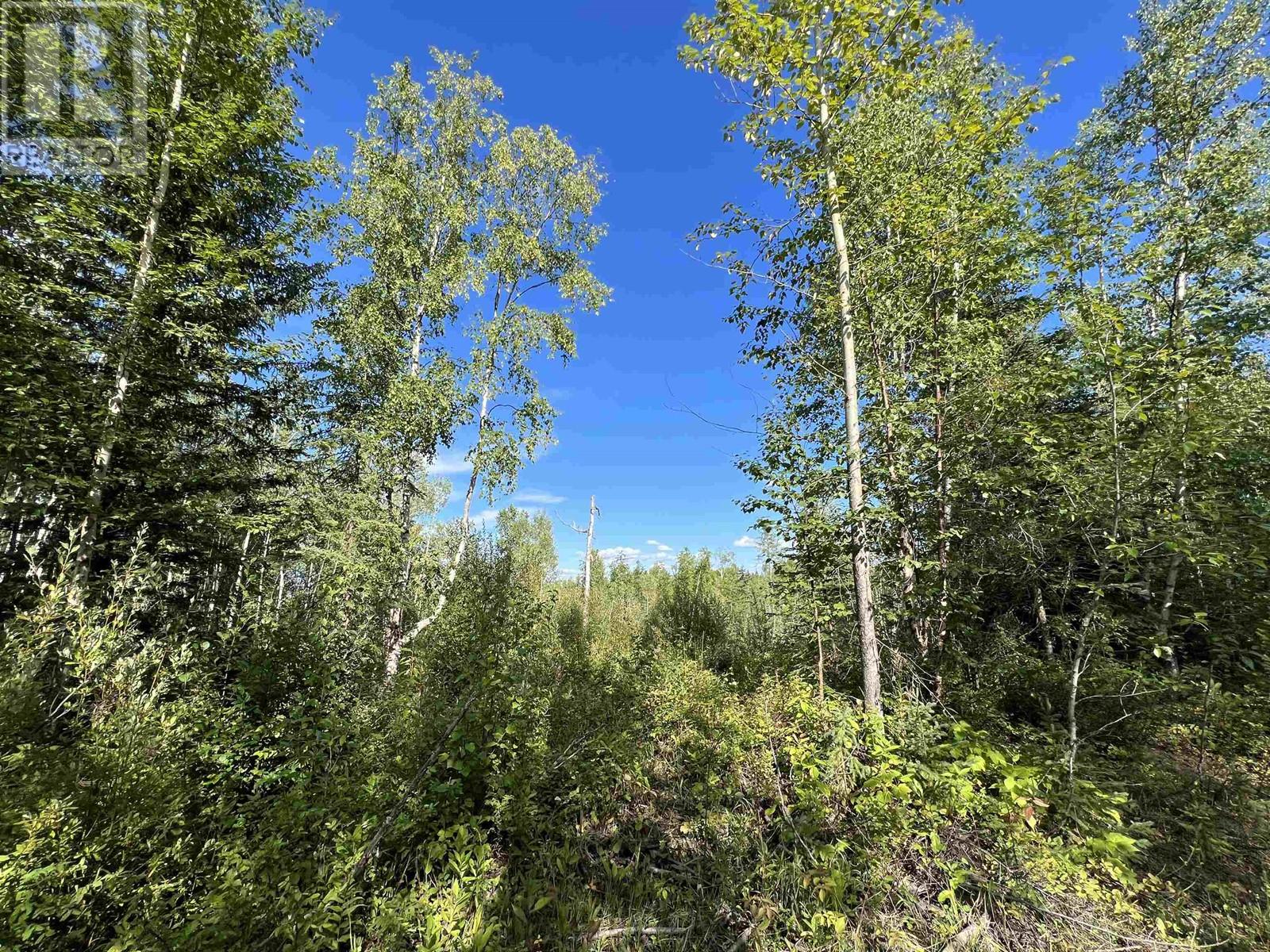 Lot 10 Murray Road, Quesnel, British Columbia  V2J 0A2 - Photo 8 - R2804376