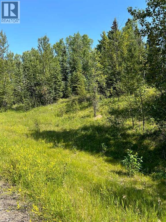 Lot R3 Westridge Road, Rural Woodlands County, Alberta  T7S 1P8 - Photo 3 - A2071514