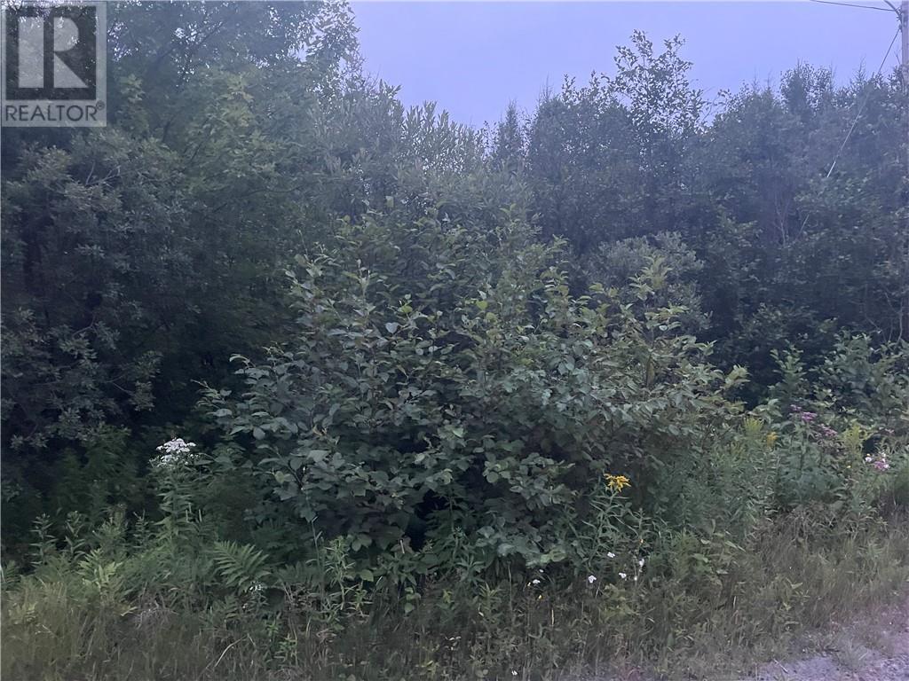 13261a Hwy 17 W Highway, North Bay, Ontario  K7S 3G7 - Photo 4 - 1355503