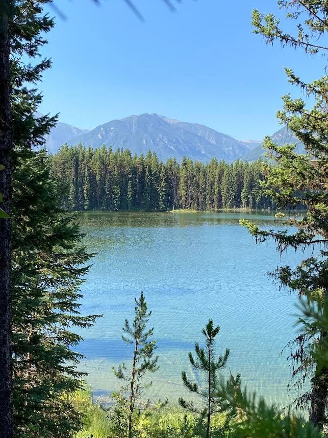 Km 44 WESTSIDE ROAD, brisco, British Columbia