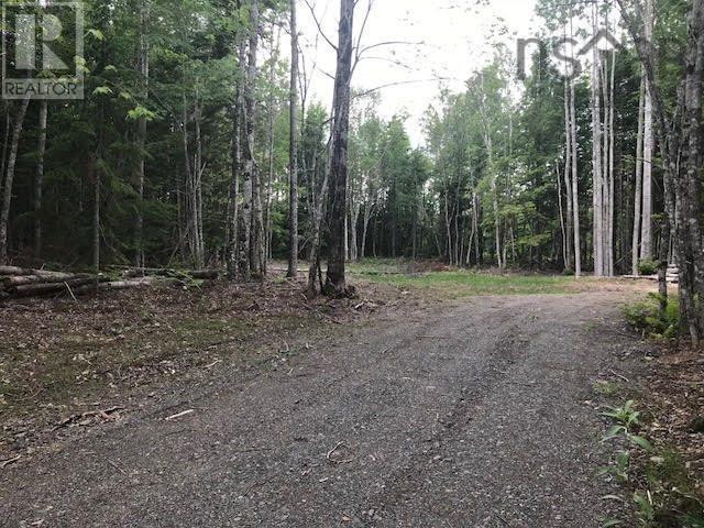 Lot 11-3 Loch Broom Road, Loch Broom Loop, Nova Scotia  B0K 2A0 - Photo 3 - 202310732