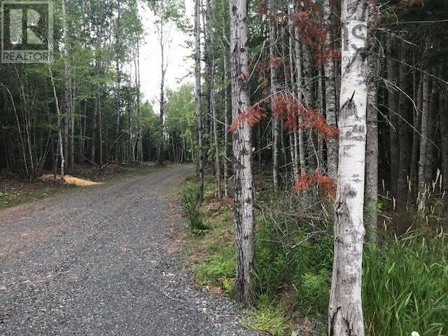 Lot 11-3 Loch Broom Road, Loch Broom Loop, Nova Scotia  B0K 2A0 - Photo 4 - 202310732