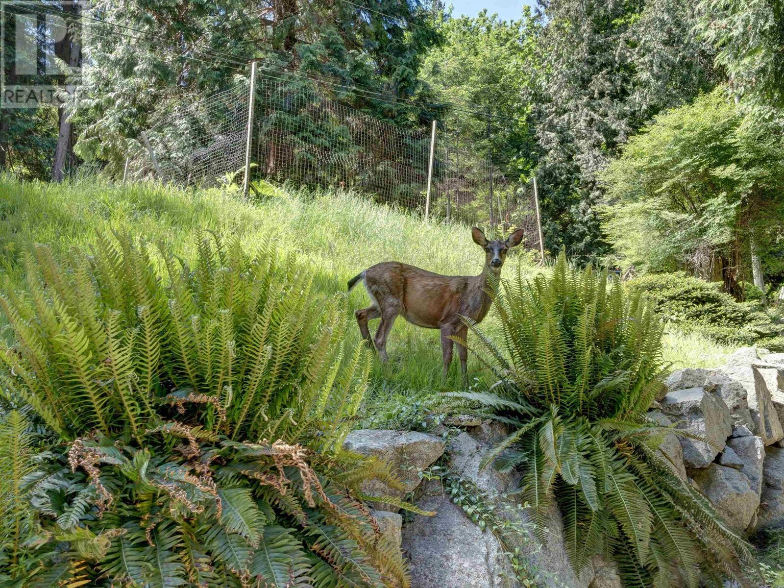 7659 Redrooffs Road, Halfmoon Bay, British Columbia  V0N 1Y1 - Photo 31 - R2806102