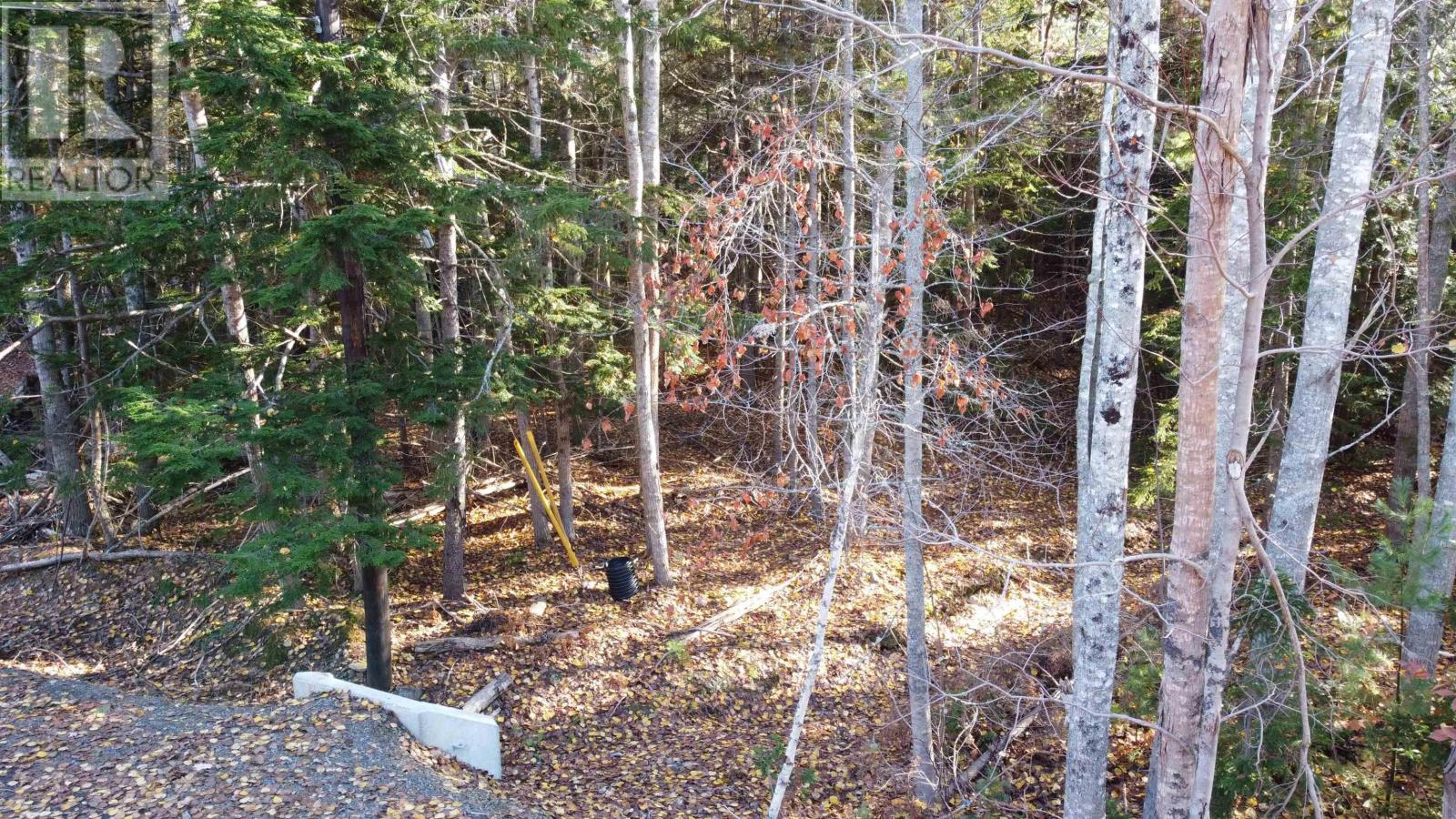 Site 6 Prime Ln 401 Forsythe South Road, White Rock, Nova Scotia  B4N 2R2 - Photo 4 - 202316920