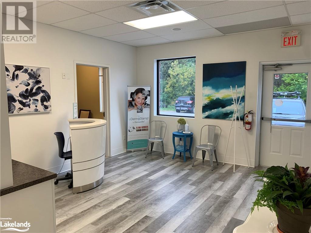 78 King Street E, Thornbury, Ontario  N0H 2P0 - Photo 5 - 40466185