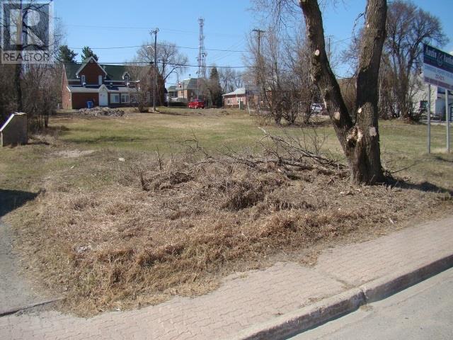 76,80,82 Queen St, Dryden, Ontario  P8N 1A4 - Photo 2 - TB202001
