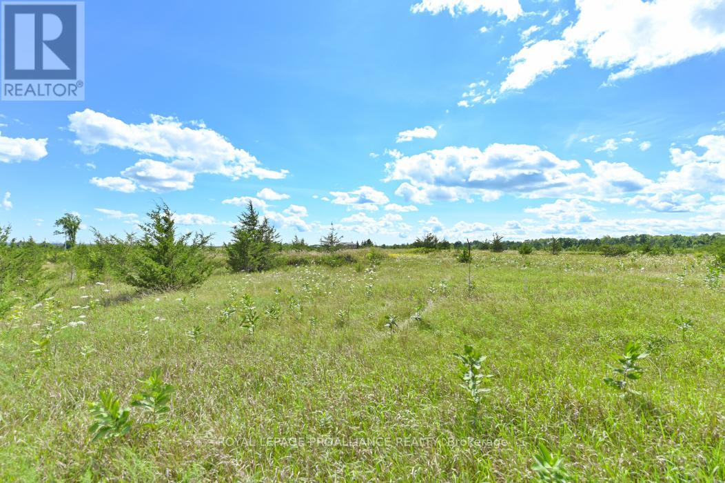 1575 Marysville Rd, Tyendinaga, Ontario  K0K 2N0 - Photo 5 - X6740712