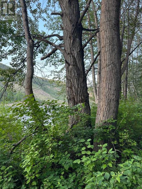 #51 Wapiti River, County Of, Alberta  T0H 0C0 - Photo 31 - A2069150