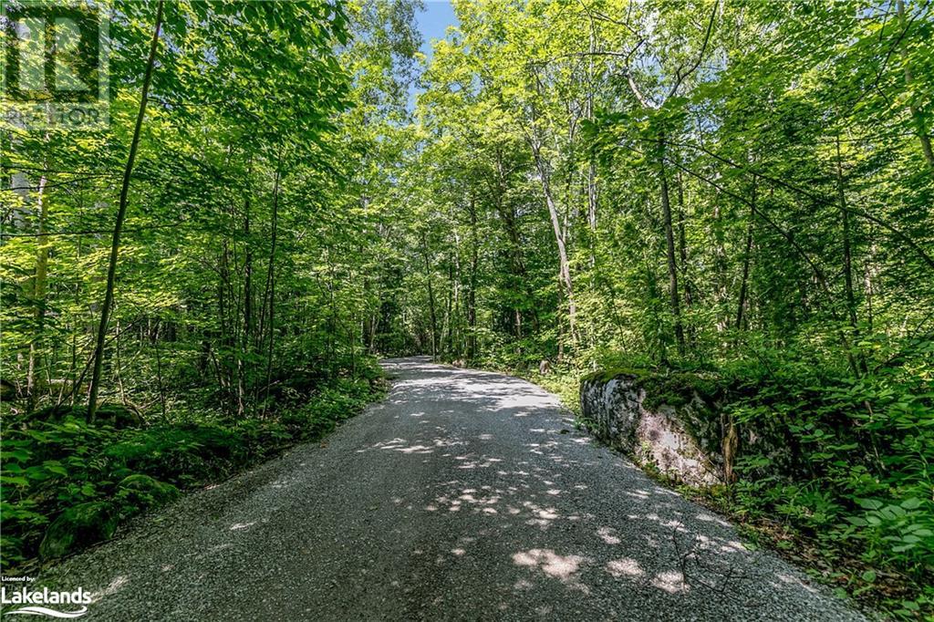618 Silver Birch Drive, Tiny, Ontario  L9M 0M5 - Photo 4 - 40464855