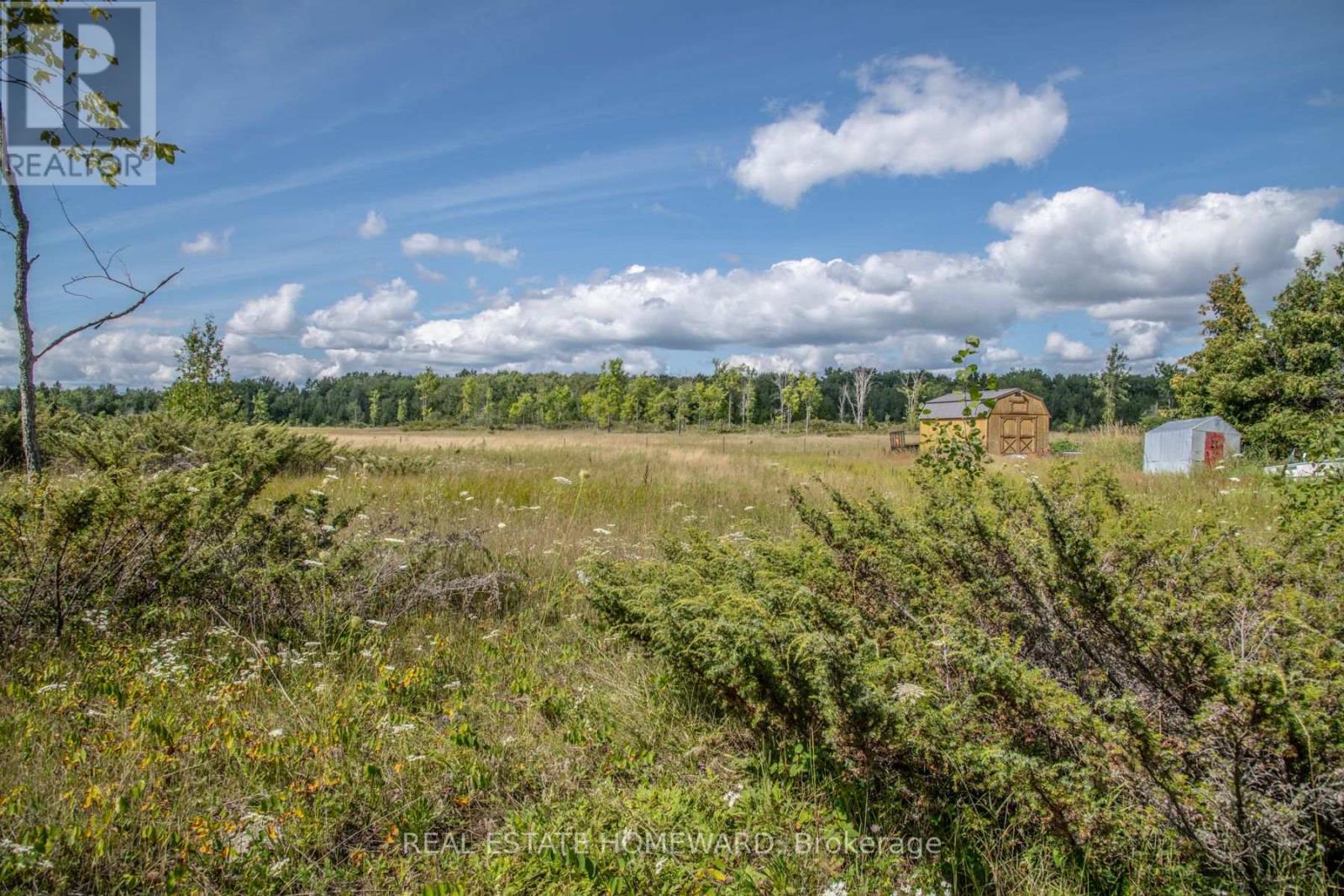 Lot 250 Mcguire Beach Road, Kawartha Lakes, Ontario  K0M 2B0 - Photo 3 - X6744628