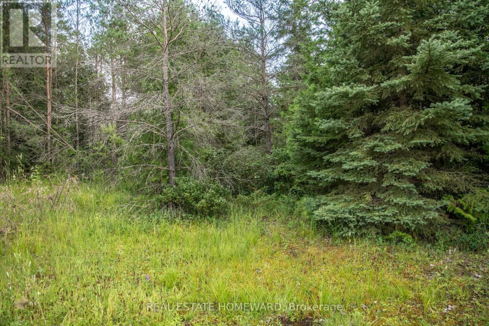 Lot 250 Mcguire Beach Road, Kawartha Lakes, Ontario  K0M 2B0 - Photo 4 - X6744628