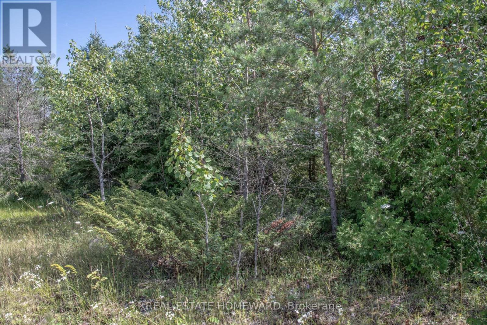 Lot 250 Mcguire Beach Road, Kawartha Lakes, Ontario  K0M 2B0 - Photo 6 - X6744628