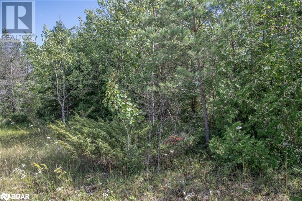 Lot 250 Mcguire Beach Road, Kawartha Lakes, Ontario  K0M 2B0 - Photo 13 - 40469331